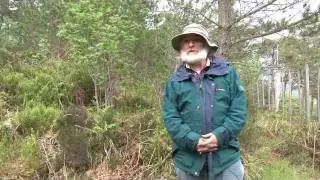 Trees For Life - Alan Watson Featherstone