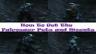 World of Warcraft - How To Get The Falcosaur Pets and Mounts