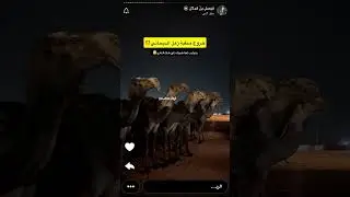 سنابات فيصل بن هدلان ٢٦ ديسمبر، ٢٠٢٥