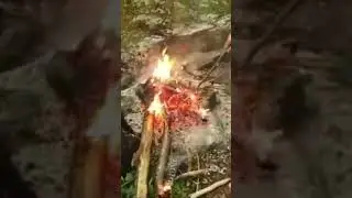 Prevalla 2021- fast video - dji osmo pocket - trout fish - cooking