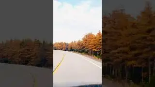 Fall colors and winding roads &ndash; nature&rsquo;s masterpiece on the drive!#canada #nature #fallcolors 🍁🍂🧡