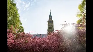 Class of 2020 Undergraduate Commencement Ceremony
