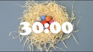 30 Minute (Half Hour) Countdown Timer | EASTER EGG NEST, SPRING | Alarm Bell Tone
