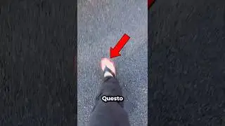 NON DOVEVA PESTARE QUELLO SCARAFAGGIO😨