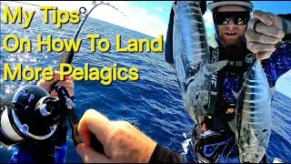Pelagics in Perth, A couple of Tips to Help 'Land' more Hook Ups while trawling, Ep.58 BlissNiques