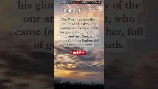 The Word Became Flesh: Exploring John 1:14