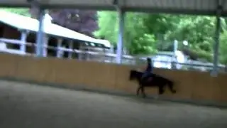 Reiten am 6.5.10 :P