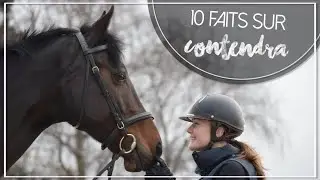 10 FAITS SUR CONTENDRA