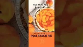 Can You Resist This Peach Pie?  -  Everyone&rsquo;s Talking About It - And How YOU Can Make It!