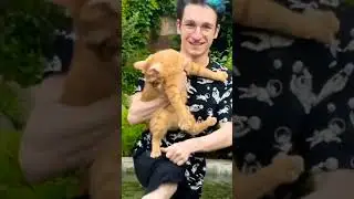 Очень жёстко #симба #переозвучка #shorts