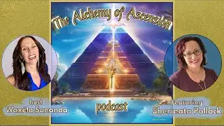 Electromagnetic Sensitivity: How to Stay Healthy in a Digital Age with Sherinata Pollock