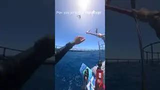 Jumping in a Shark Cage! 💀🤯