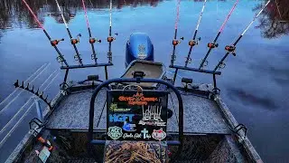 Cutting eels for live bait and cut bait!!!!