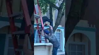 CBC's Best in Miniature Houses are HERE at Hamilton Prop House