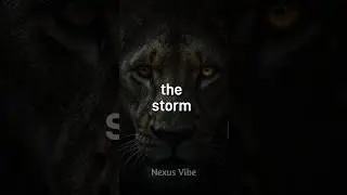 Build in Silence, Win in Public 🔥 | Motivational Speech