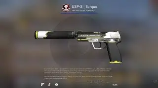 CSGO - USP-S | Torque (Factory New) Skin Showcase and Gameplay
