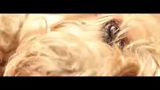 acrimoney - an artistic exploration by Rango Mahoney