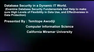 Database Security in a Dynamic IT world