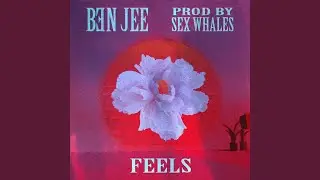 FEELS (Prod. Sex Whales)