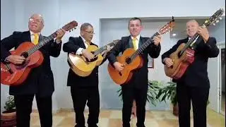 Serenatas en Pereira y Eje Cafetero 🎶