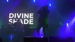 Divine Shade - Live - Infest 2024