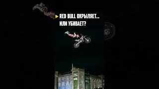 Red Bull окрыляет&hellip; или убивает? #диалогия #redbull #redbullracing