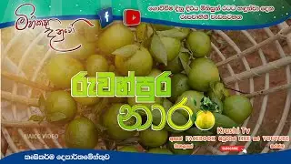 Mihikatha Dinuwo TV Program | රුවන්පුර නාරං | 2022-12-09 | Krushi Tv