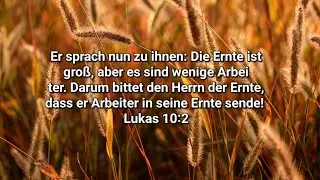 Die Ernte ist reif... #menschenfischer #Urlaubmitjesus #thisisreal