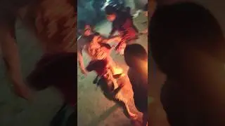 lohri #viralvideo #trending #youtubeshorts #ytshorts #shorts #lohri #song #enjoy