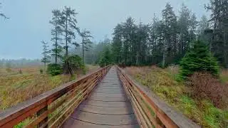 Discovery Trail to Beards Hollow Trail Cape Disappointment St Park #insta360 #360video #insta360x5
