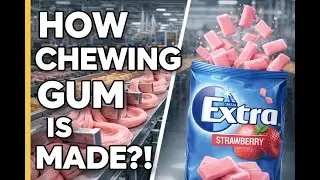 How Sugar-Free Chewing Gum Is Made | Inside the Manufacturing Process