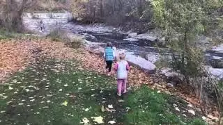Mimico Creek with Mabel & Maisie 😊