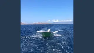 Creatures of Perseverance
