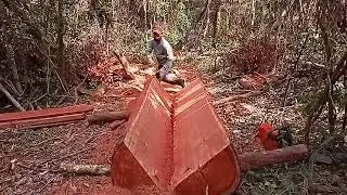 Husquvarna 395 xp .depois de alguns dias de serviço com a 395 fiz uma afinação nela 🤤🤤