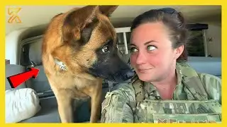 🐶 When God Sends You a Comedian Dog 🤣 Funniest Dog Ever!
