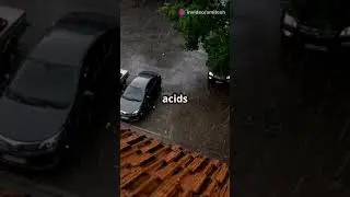 What is Acid Rain? 🌧️ Explained in 60 Seconds!