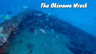 Hidden Underwater Paradise at Pompano Beach Florida!
