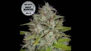 17 Phil The Agony, Chocolate Tye & J Ro   Big Green Buds
