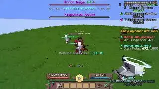 wynncraft ASN nirvana shadestepper DPS2.3M