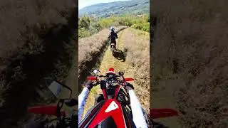 #bikelife #dirtbikeriding #motorcycle #forest #music #crf300l #motovlog #enduro #explore #honda #crf