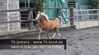 TS Jamara (Zu verkaufen/For Sale)