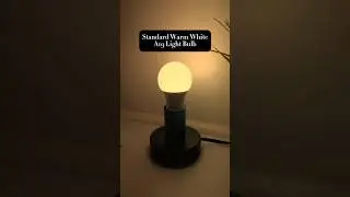 The Standard Warm White A19 Light Bulb. Perfect for home and office applications.#led #lightbulb