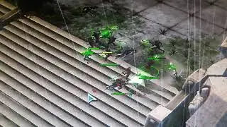 Kroot hound squad vs Pariah squad
