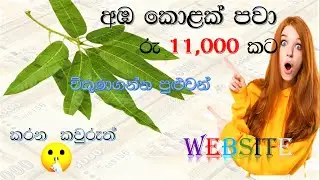 How to make money online Sinhala 2021   earn money online with eBay