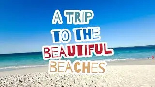 A day trip from Sydney to Jervis Bay