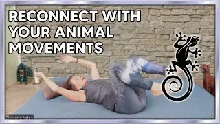 Reconnect with Your Animal Movements: Infant movement patterns