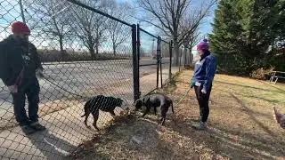 Соревнования по фехтованию Leche and Jr Fence Meet