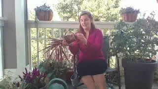 Welcome to Horticulture
