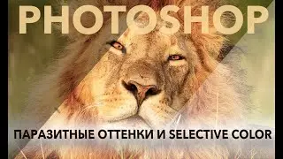 Selective Color в Photoshop 2020: Убираем паразитные оттенки.