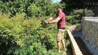 Hedging Bushes with Dewalt 20v Max Hedge Trimmer